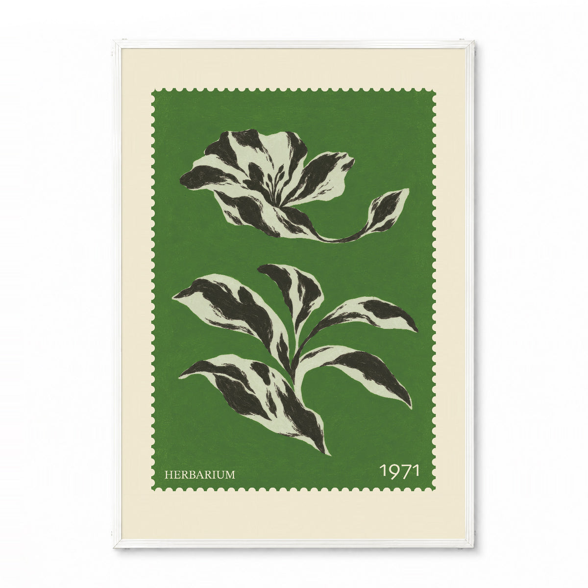 「HERBARIUM 1971」ボタニカルスタンプポスター