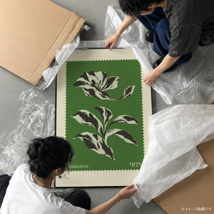 「HERBARIUM 1971」ボタニカルスタンプポスター