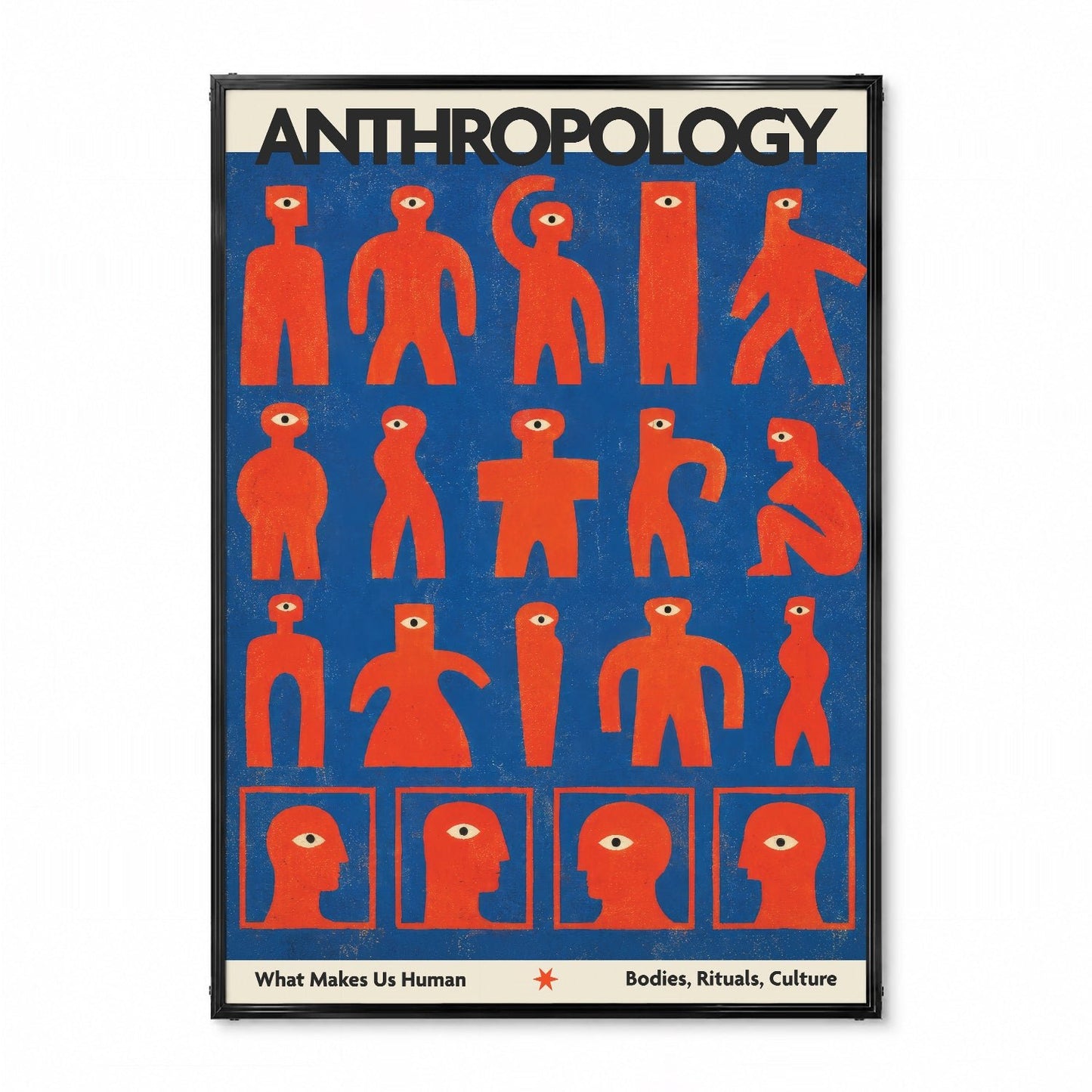 「ANTHROPOLOGY」ヴィンテージサイエンスポスター - Ink Jp