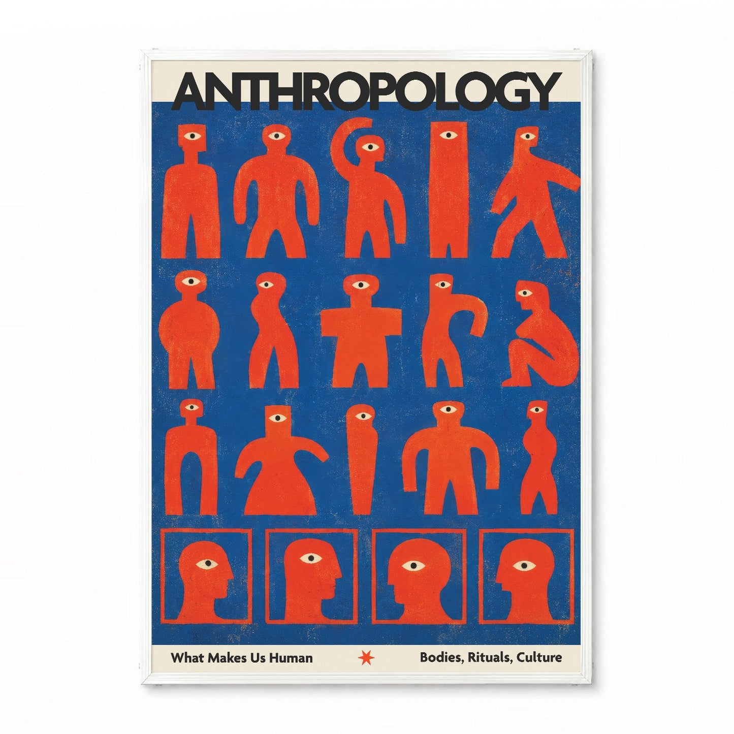 「ANTHROPOLOGY」ヴィンテージサイエンスポスター - Ink Jp
