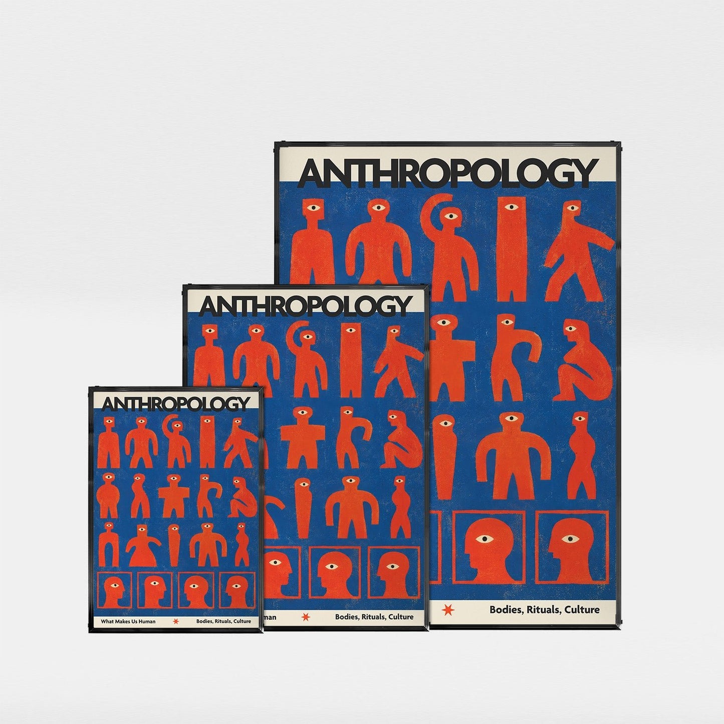 「ANTHROPOLOGY」ヴィンテージサイエンスポスター - Ink Jp