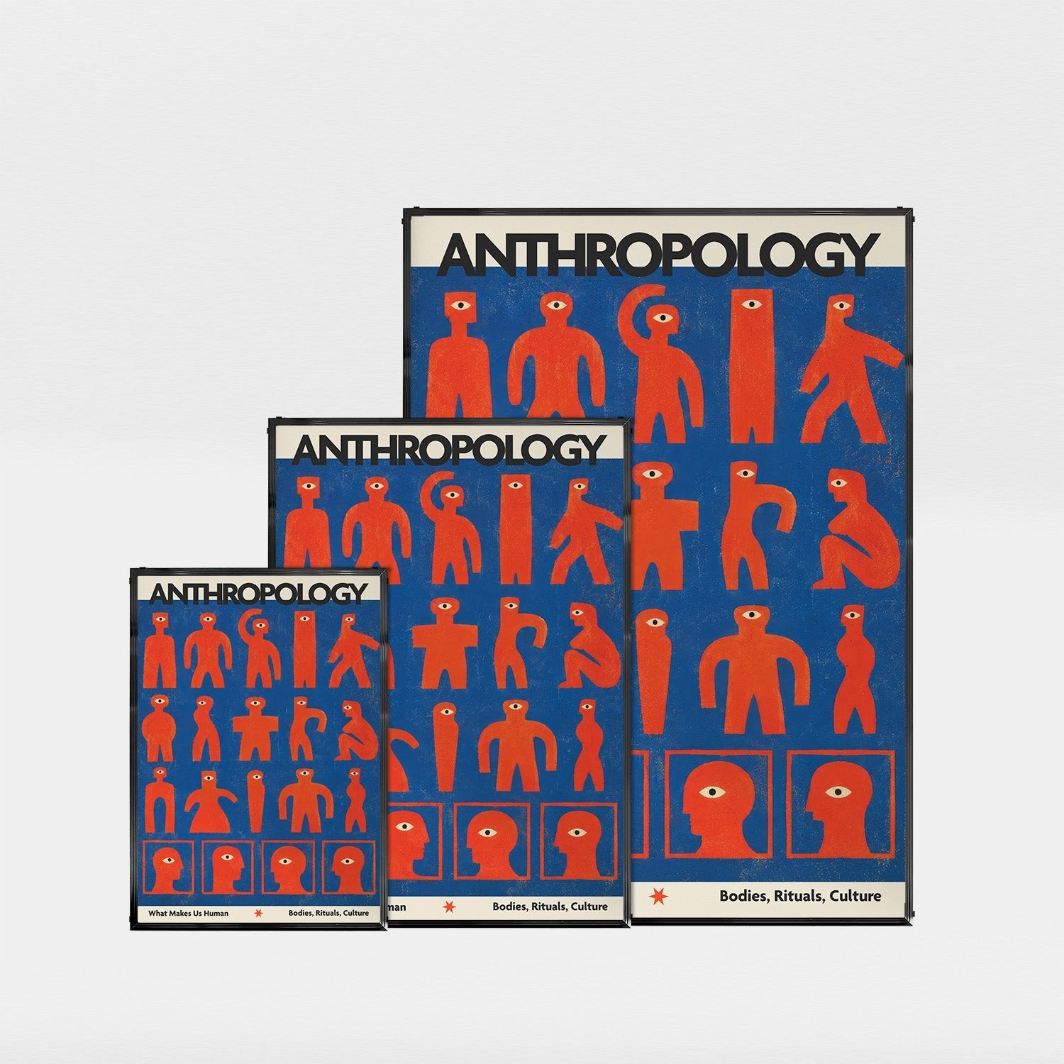 「ANTHROPOLOGY」ヴィンテージサイエンスポスター - Ink Jp