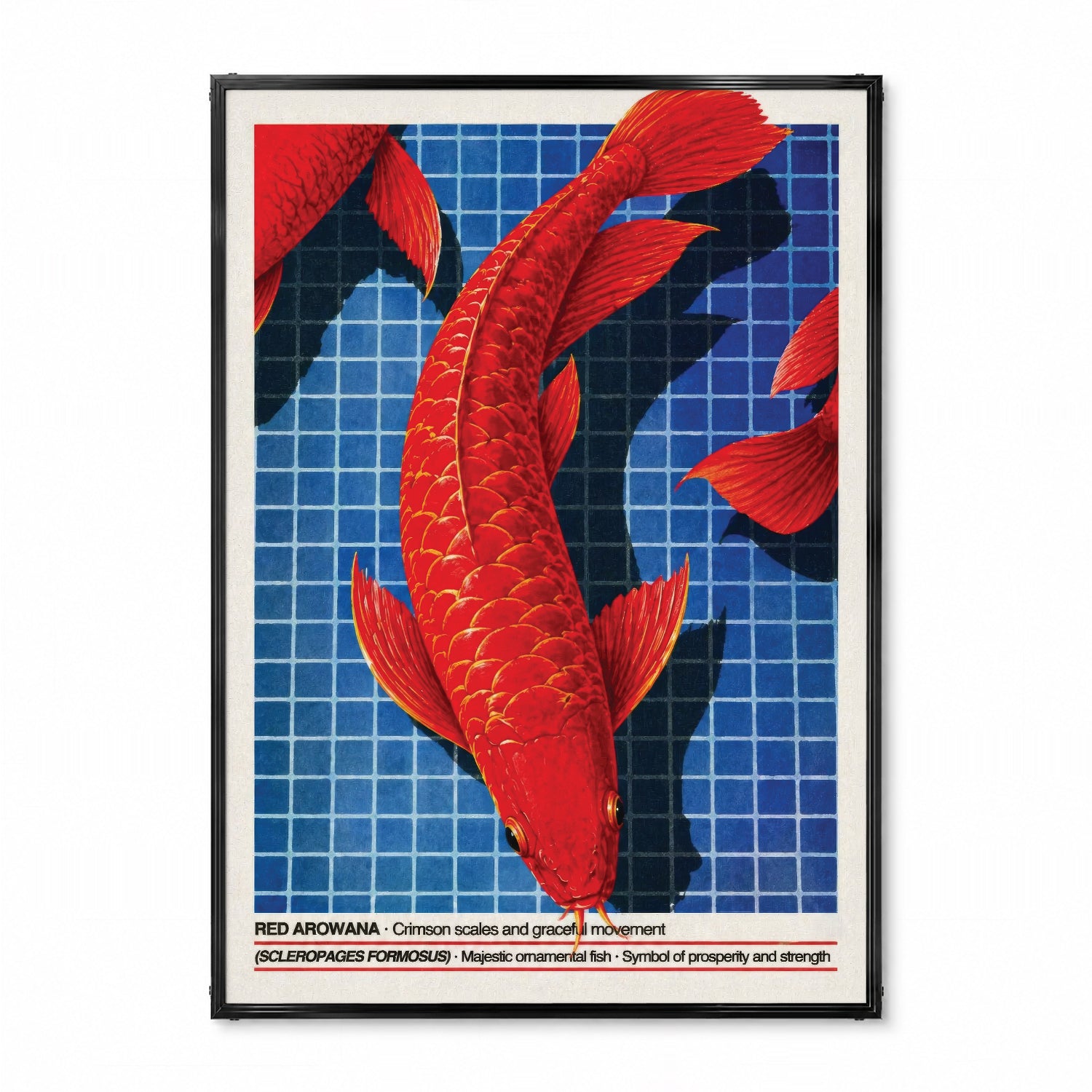 「RED AROWANA」ネイチャーサイエンスアートポスター - Ink Jp
