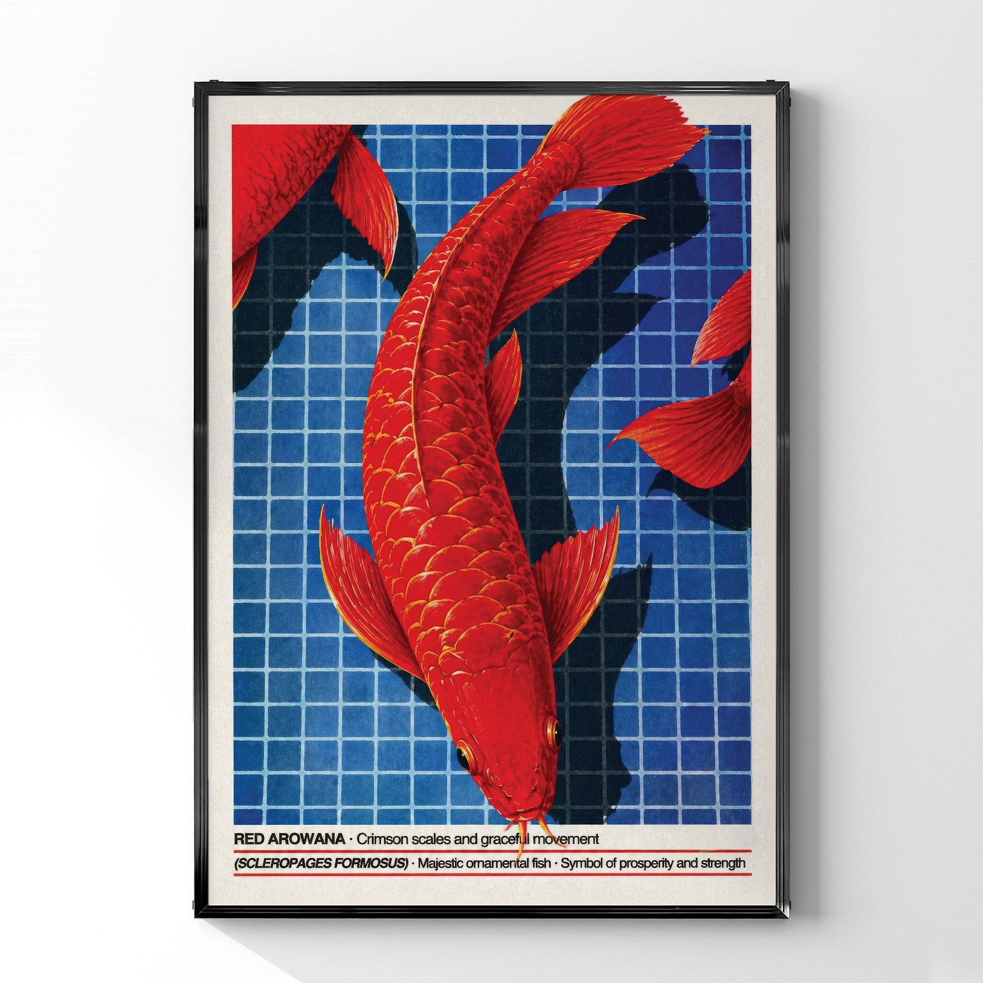 「RED AROWANA」ネイチャーサイエンスアートポスター - Ink Jp