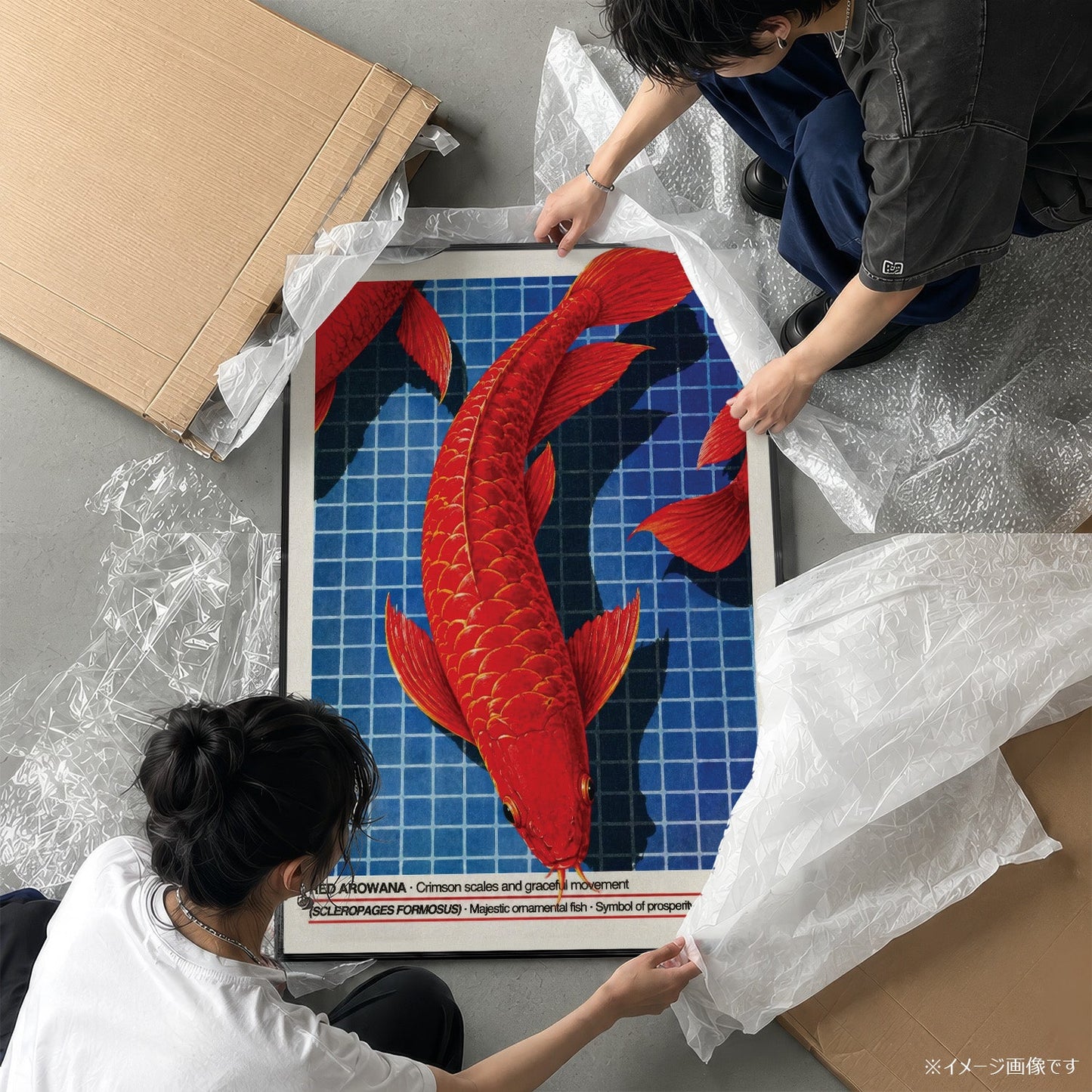 「RED AROWANA」ネイチャーサイエンスアートポスター - Ink Jp