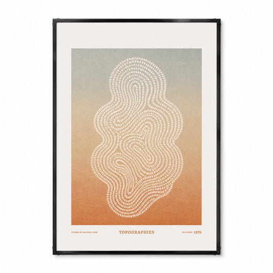 「TOPOGRAPHIES 1976」サイエンスアートポスター - Ink Jp