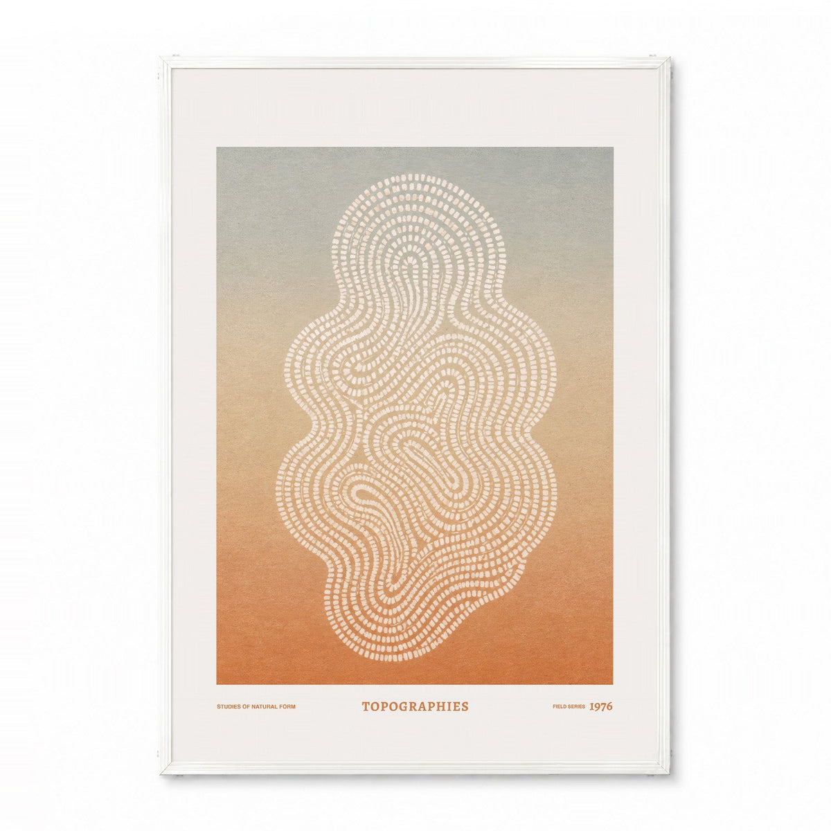 「TOPOGRAPHIES 1976」サイエンスアートポスター - Ink Jp